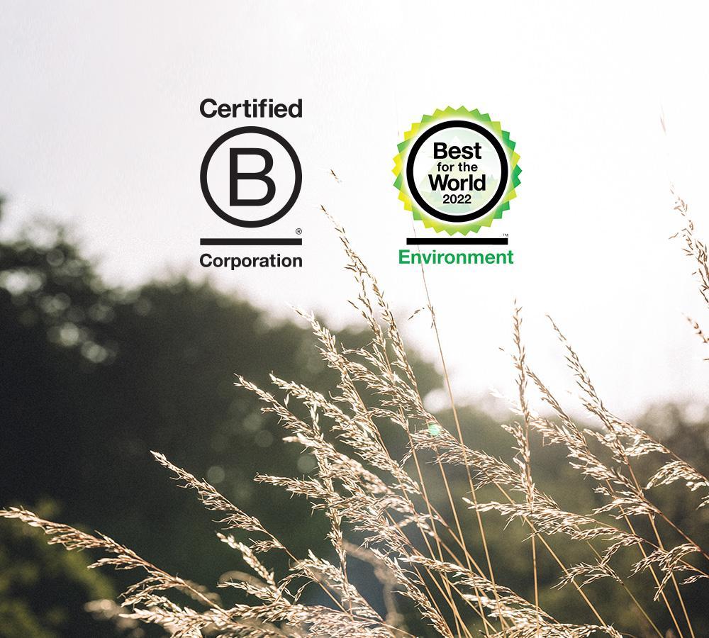 Why being Best for the Worldâ„¢ B Corp is not good enough