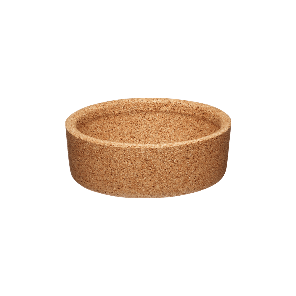 Cork Band - Glass - S/M/L